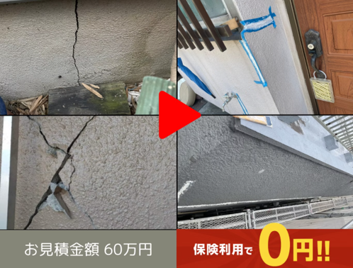 保険適用実績 86万円